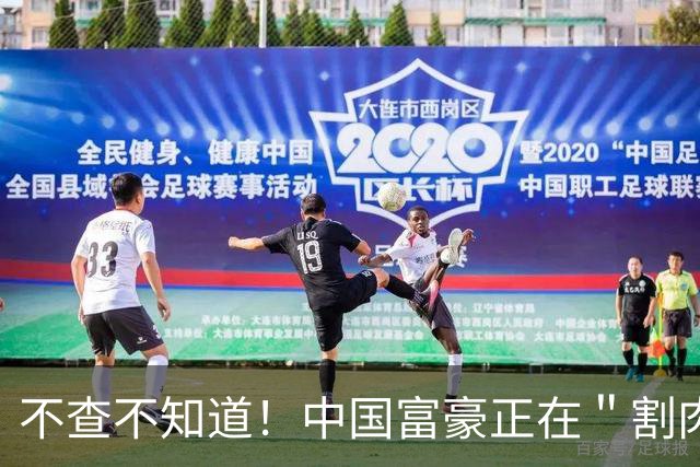 不查不知道！中国富豪正在＂割肉＂补税，卢麒元的话终于有人信了